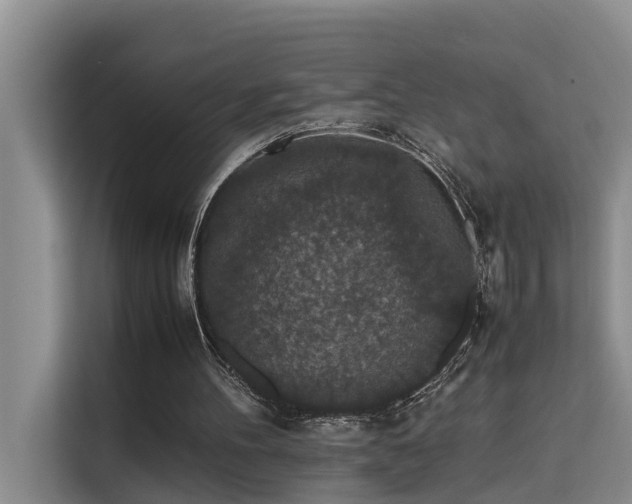 X0000115740100200911191453