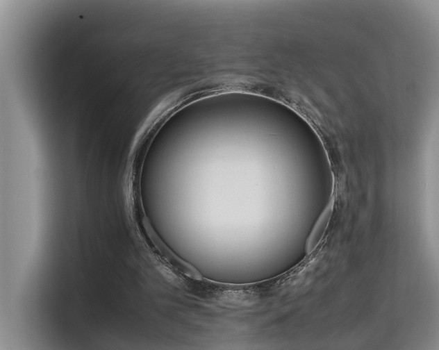 X0000115740101200911191453