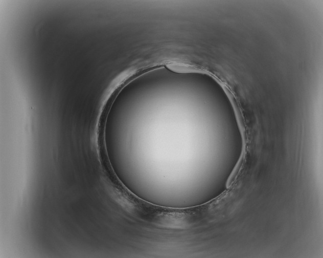 X0000115740104200911191453