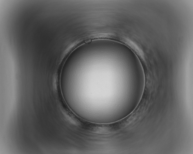 X0000115740107200911191453