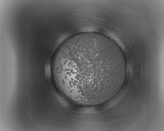 X0000115740110200911191453