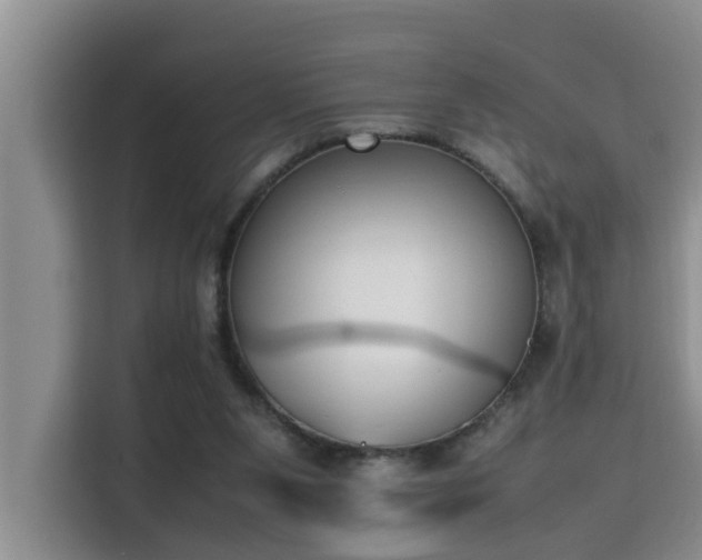 X0000115740111200911191453