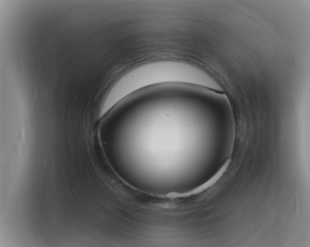 X0000115740116200911191453