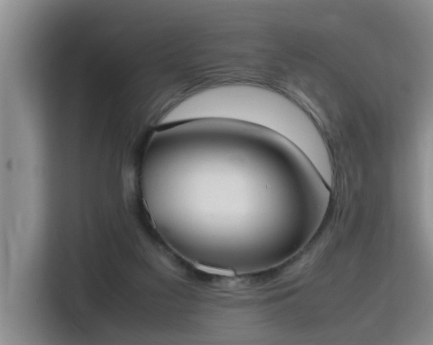 X0000115740117200911191453