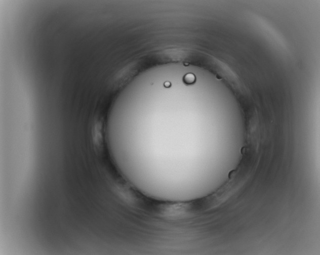 X0000115740122200911191453