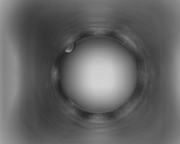 X0000115740123200911191453