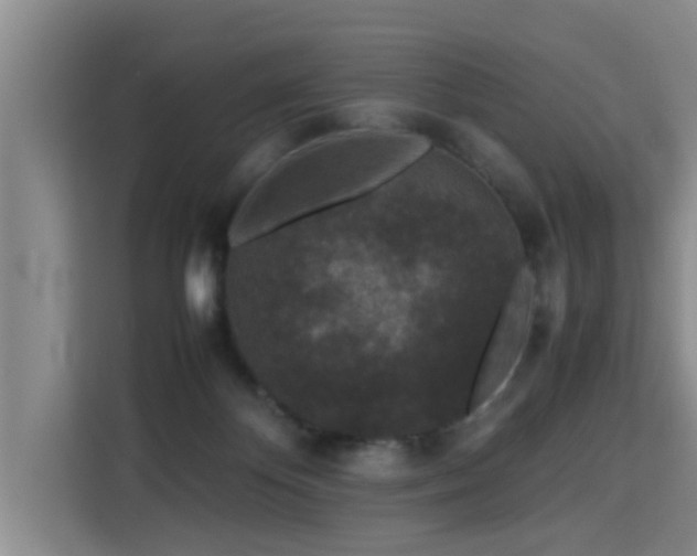 X0000115740124200911191453