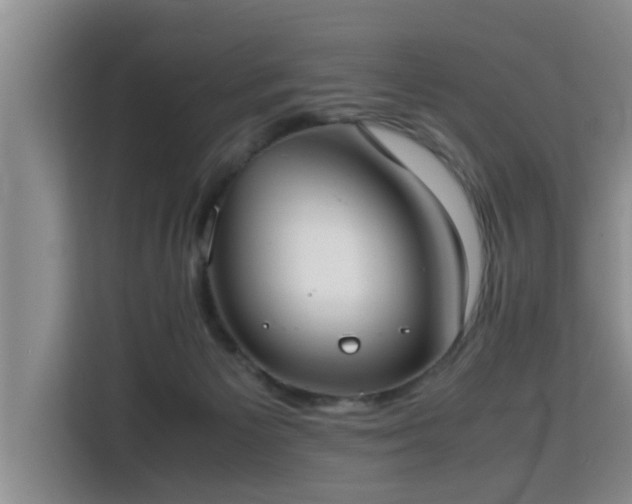 X0000115740125200911191453