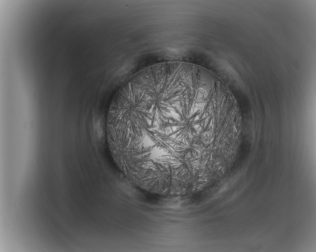 X0000115740131200911191453