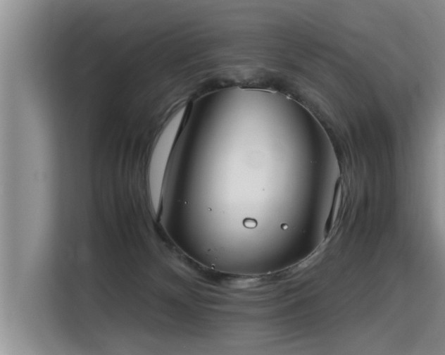 X0000115740132200911191453