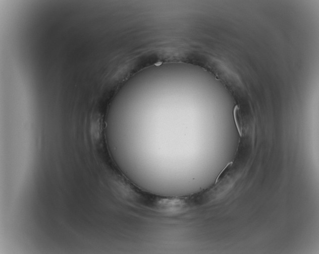 X0000115740133200911191453