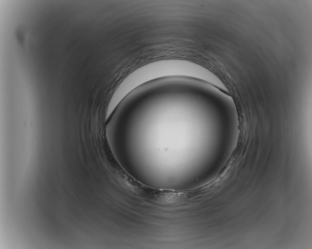 X0000115740136200911191453