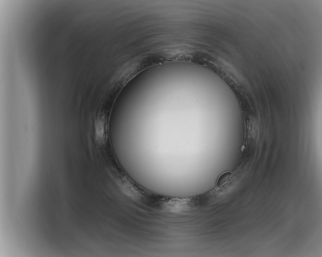 X0000115740138200911191453