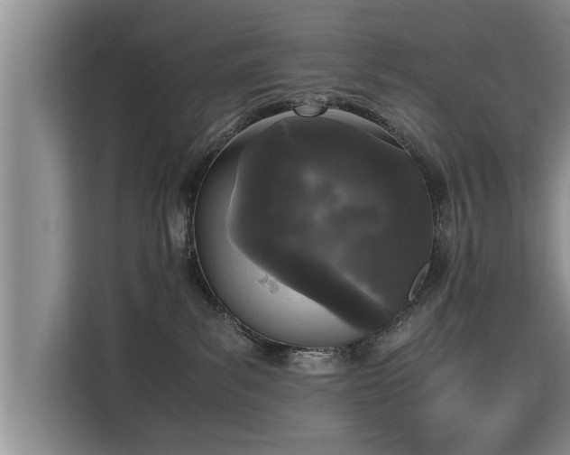 X0000115740139200911191453