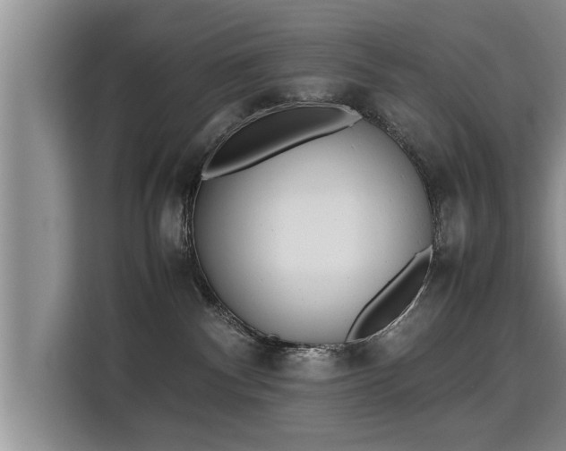 X0000115740140200911191453