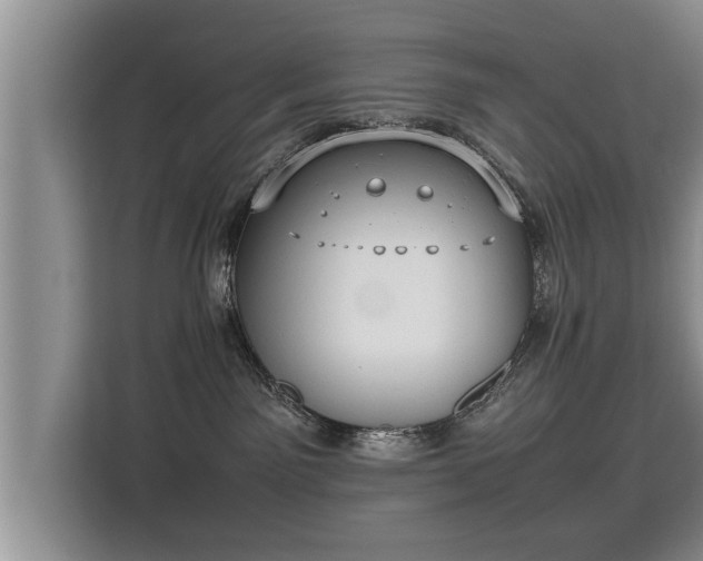 X0000115740141200911191453