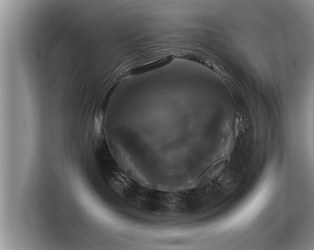 X0000115740143200911191453