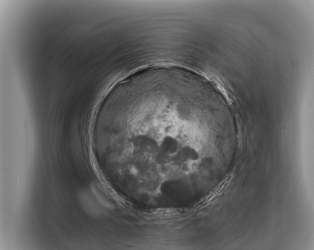 X0000115740145200911191452