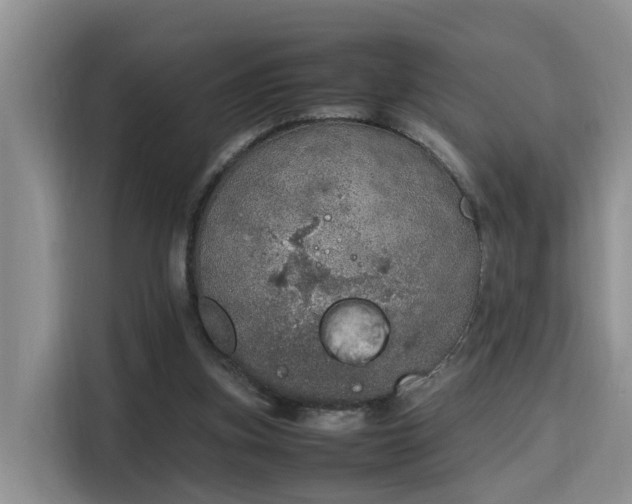 X0000115740155200911191452