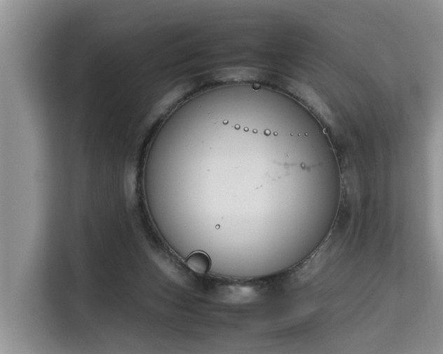 X0000115740159200911191452