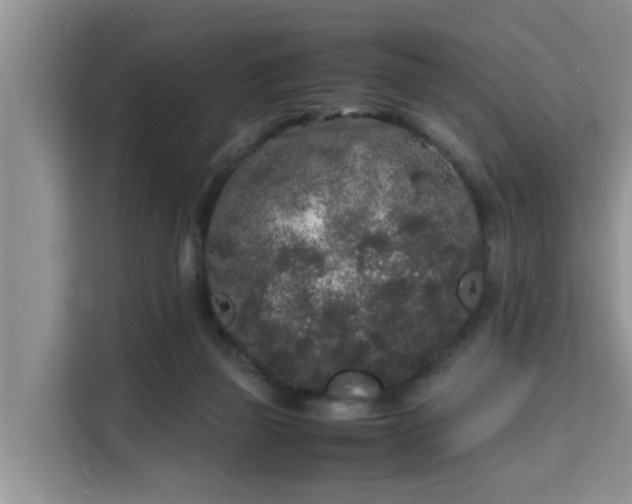 X0000115740165200911191452