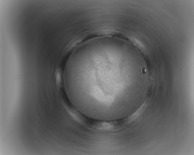 X0000115740166200911191452