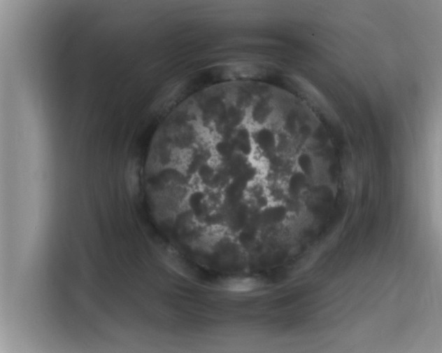 X0000115740169200911191452