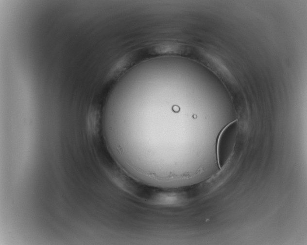 X0000115740171200911191452