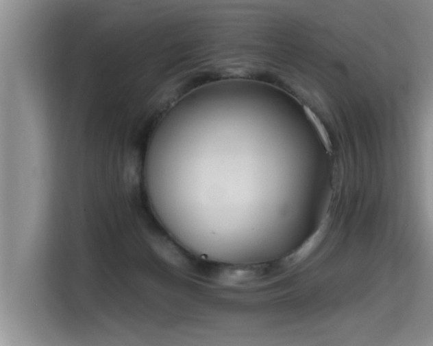 X0000115740174200911191452