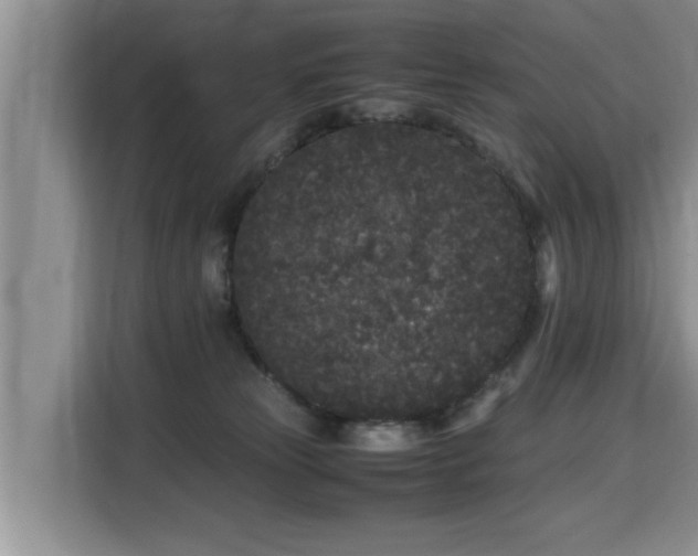 X0000115740181200911191452