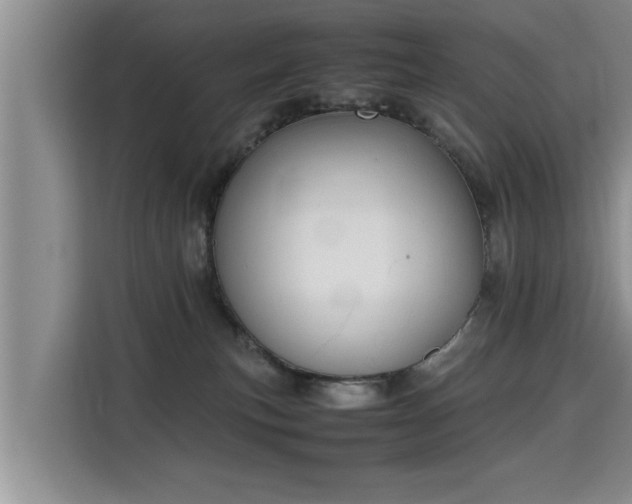 X0000115740183200911191452