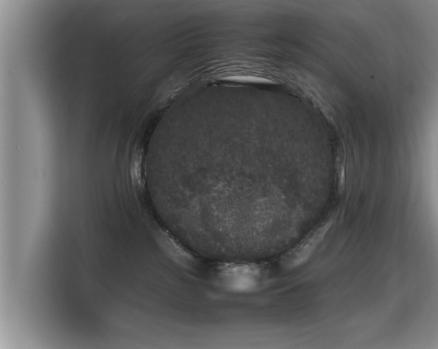 X0000115740185200911191452