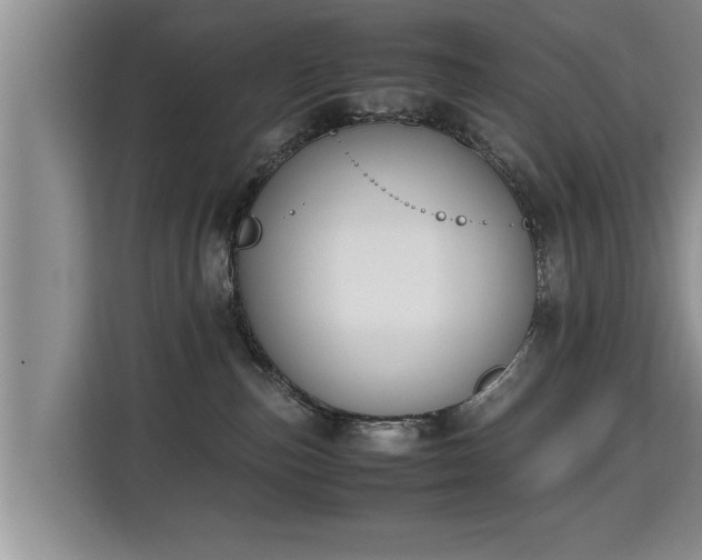 X0000115740187200911191452