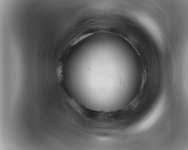 X0000115740190200911191452