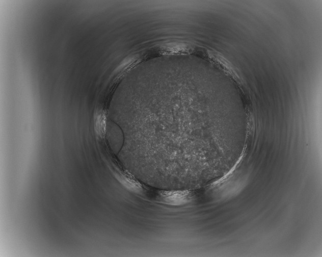 X0000115740191200911191452