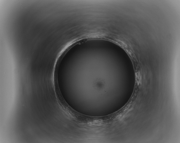 X0000115740196200911191452