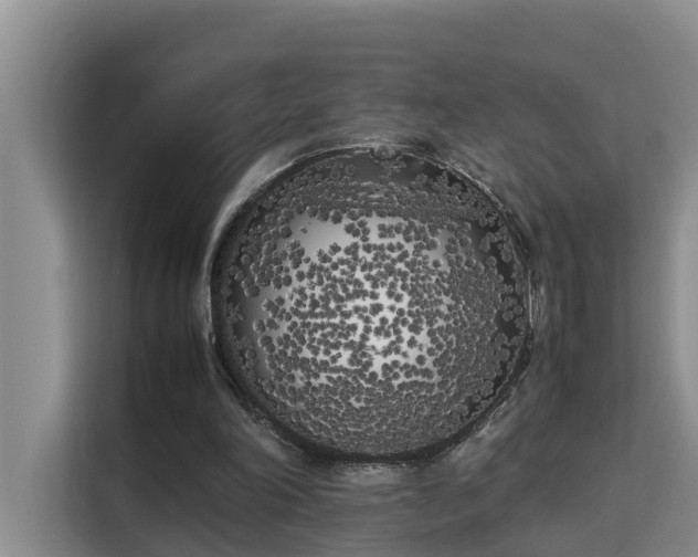 X0000115740198200911191452