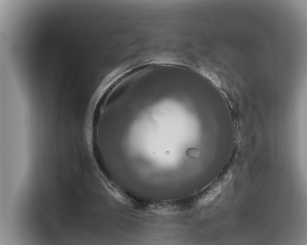 X0000115740199200911191452