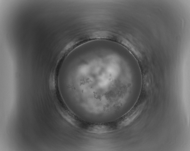 X0000115740203200911191452