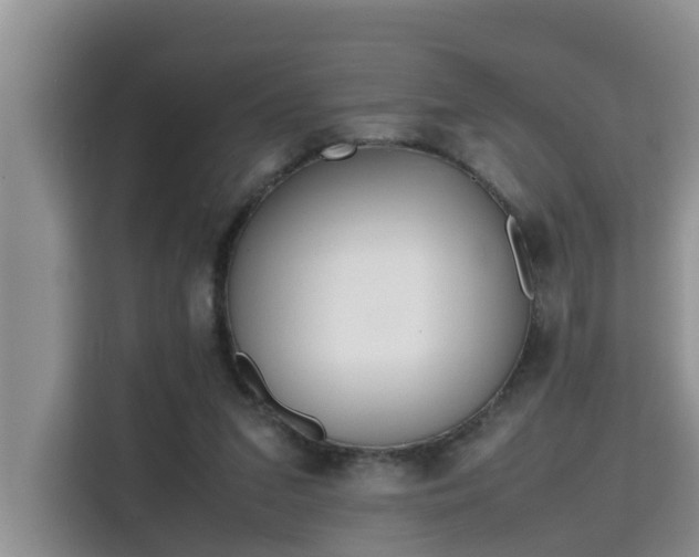 X0000115740207200911191452