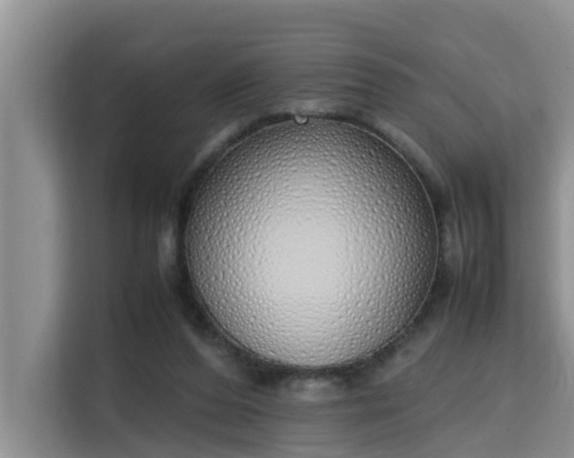 X0000115740208200911191452