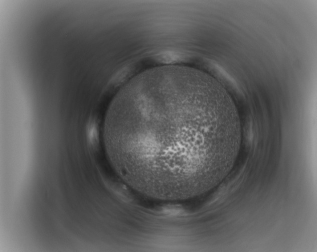 X0000115740214200911191452