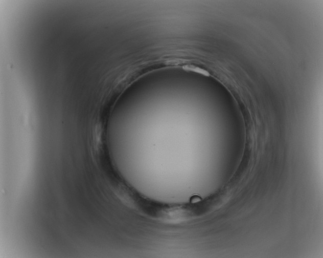 X0000115740219200911191452