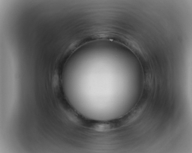 X0000115740220200911191452