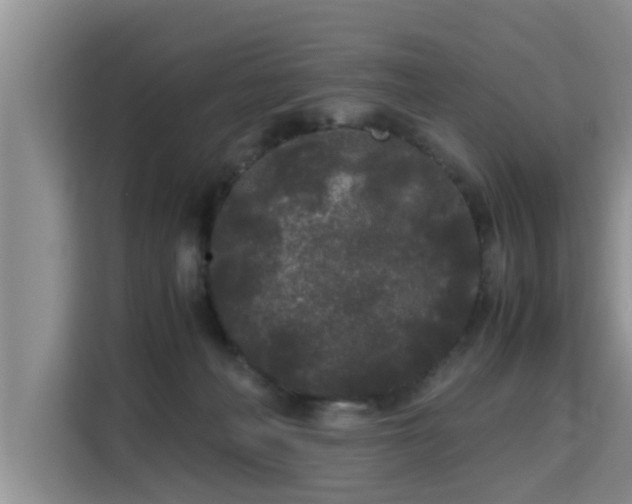 X0000115740222200911191451