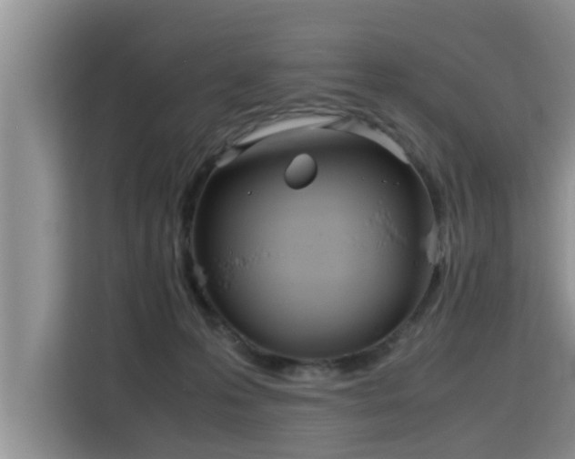 X0000115740223200911191451