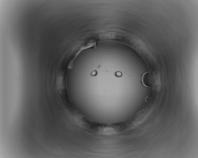 X0000115740224200911191451