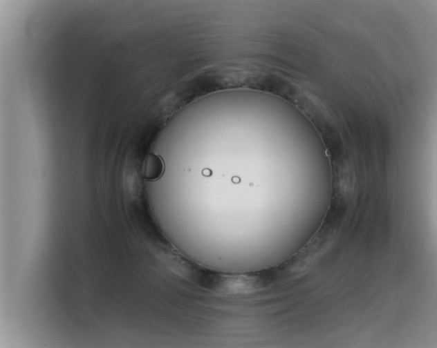 X0000115740226200911191451