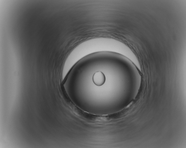 X0000115740227200911191451