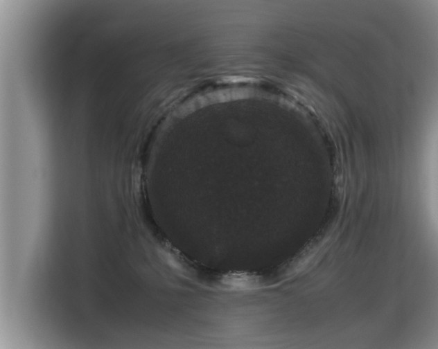 X0000115740231200911191451